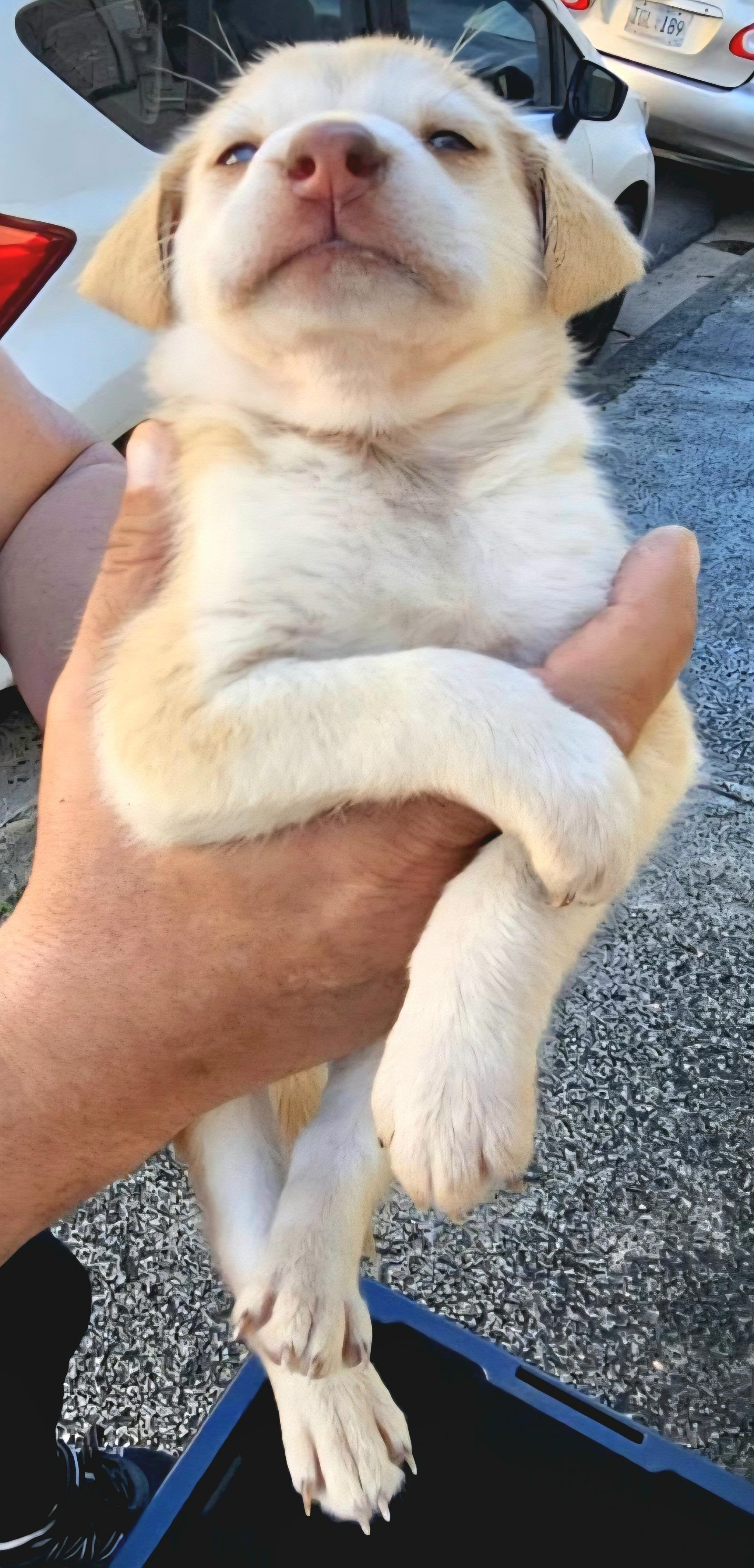 Giovanni "the Forever Love thumbnail 2