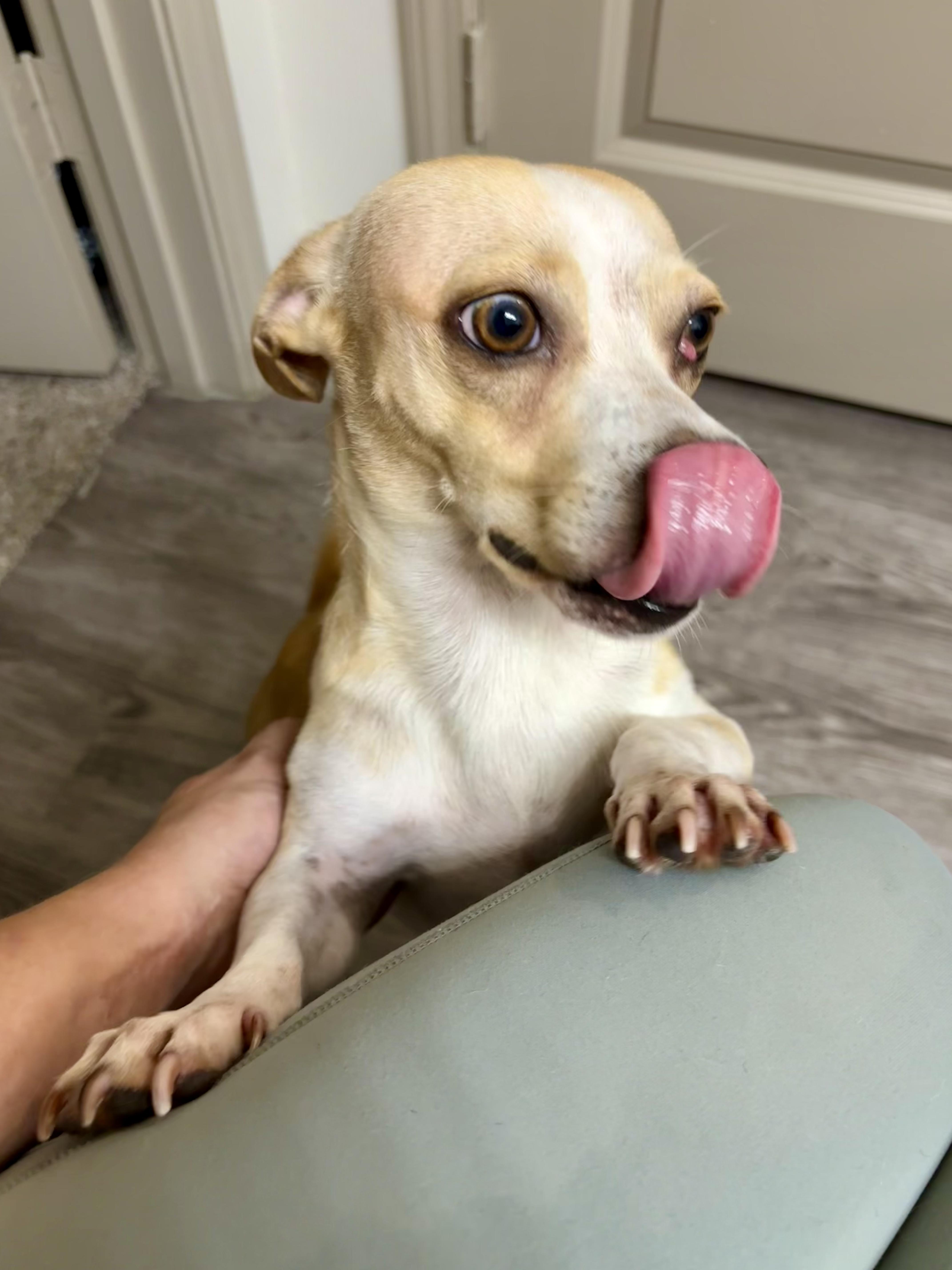 Zucchini thumbnail 2