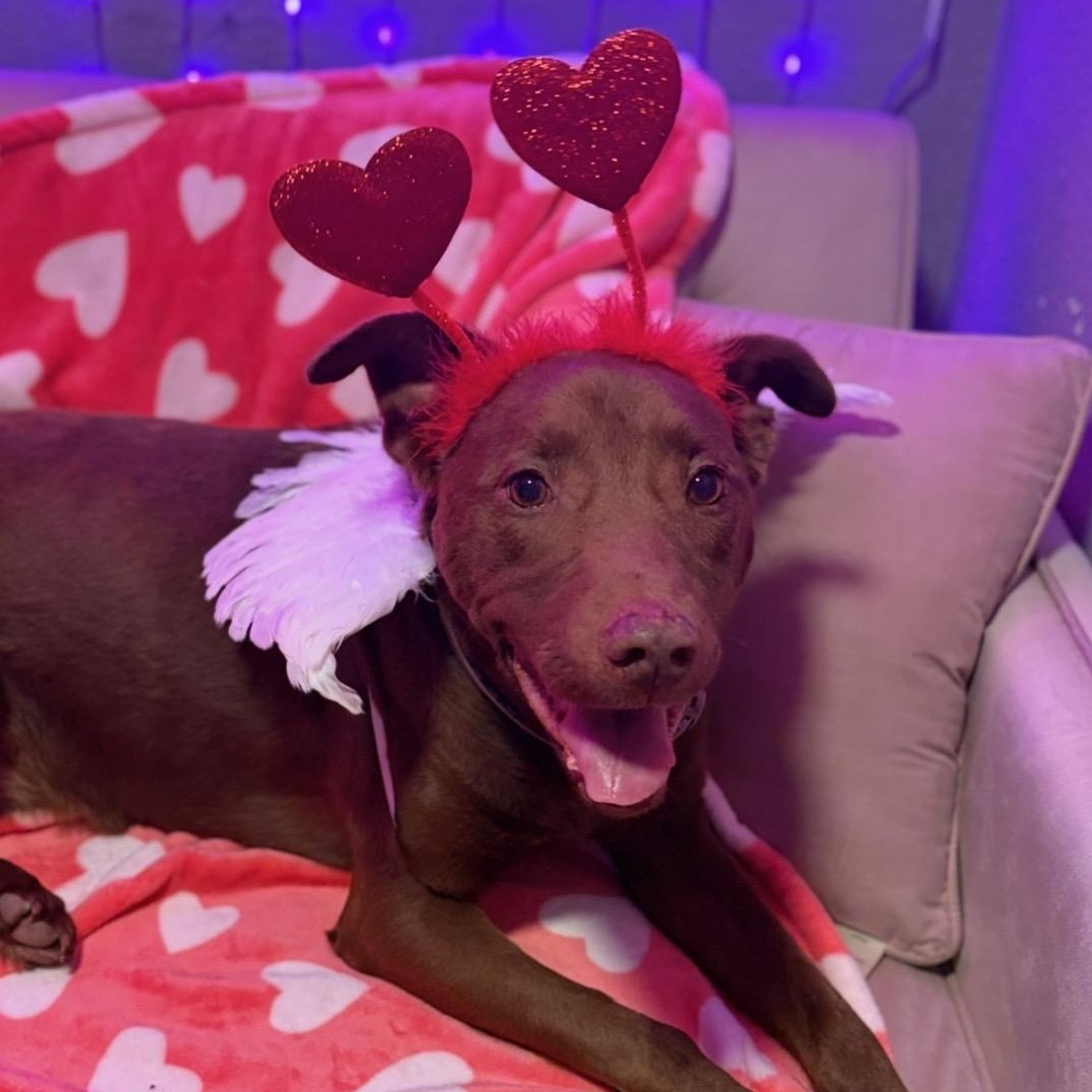 Crissy — thumbnail 6