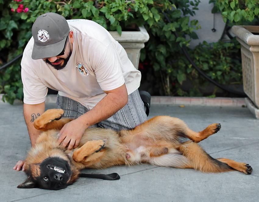 Papa Von Oldenburg thumbnail 3