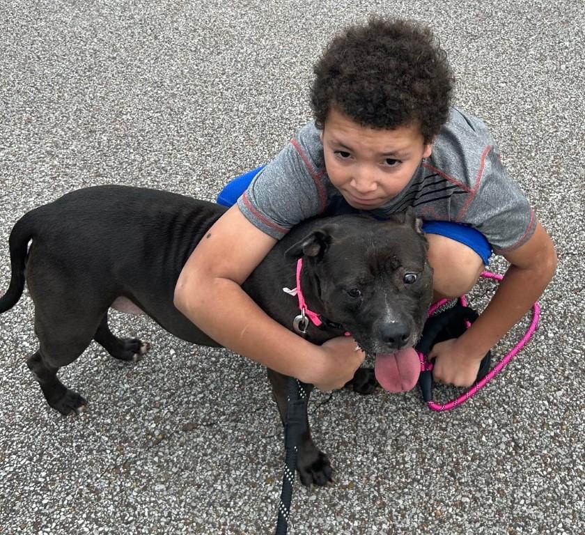 Enlarge Lola, a ADOPTABLE mixed breed in Germantown, TN image 4/5