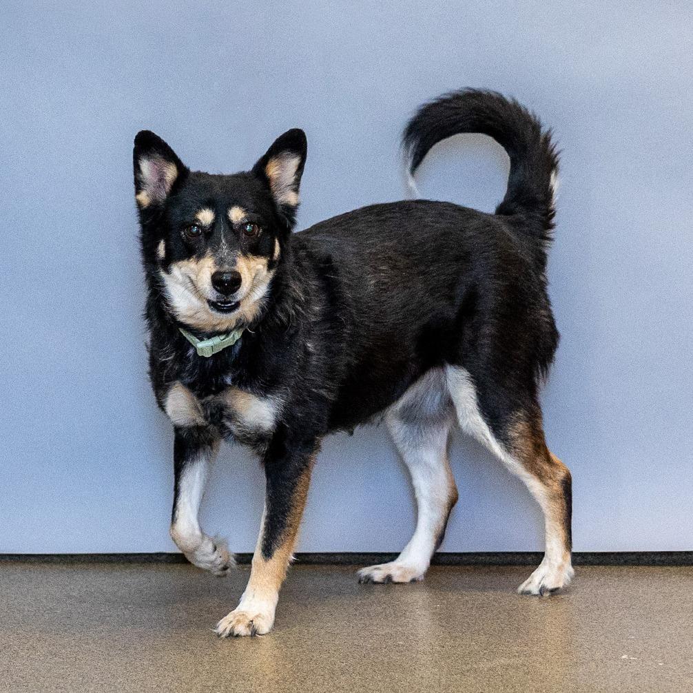 Baby — thumbnail 2