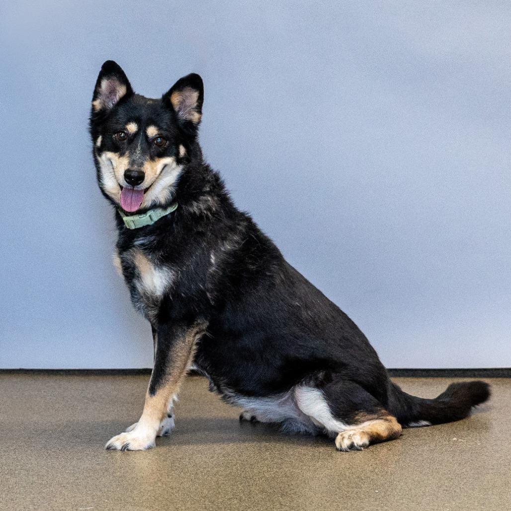 Baby — thumbnail 3