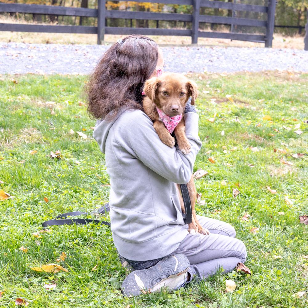 Cinderellaavail thumbnail 4