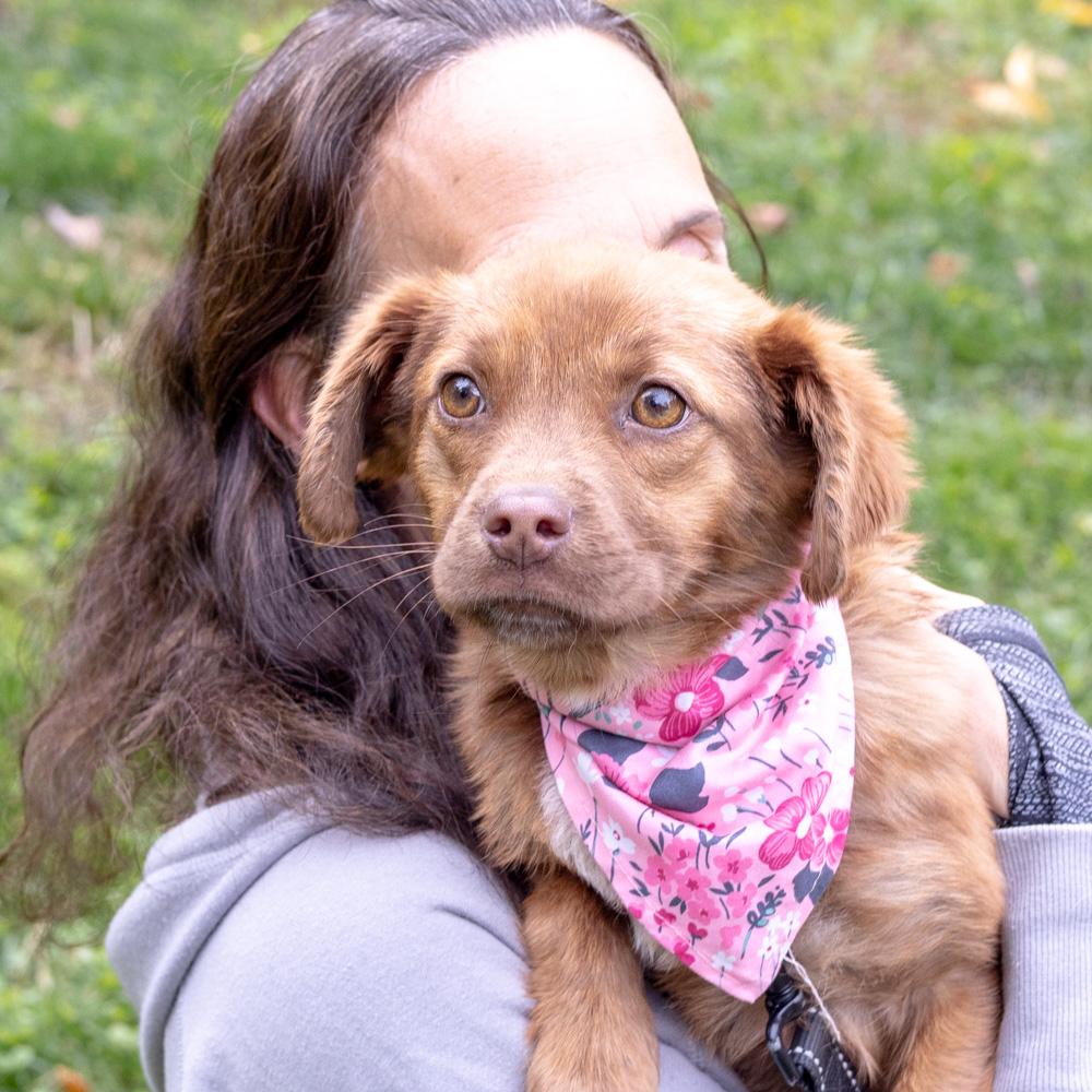 Cinderellaavail thumbnail 5