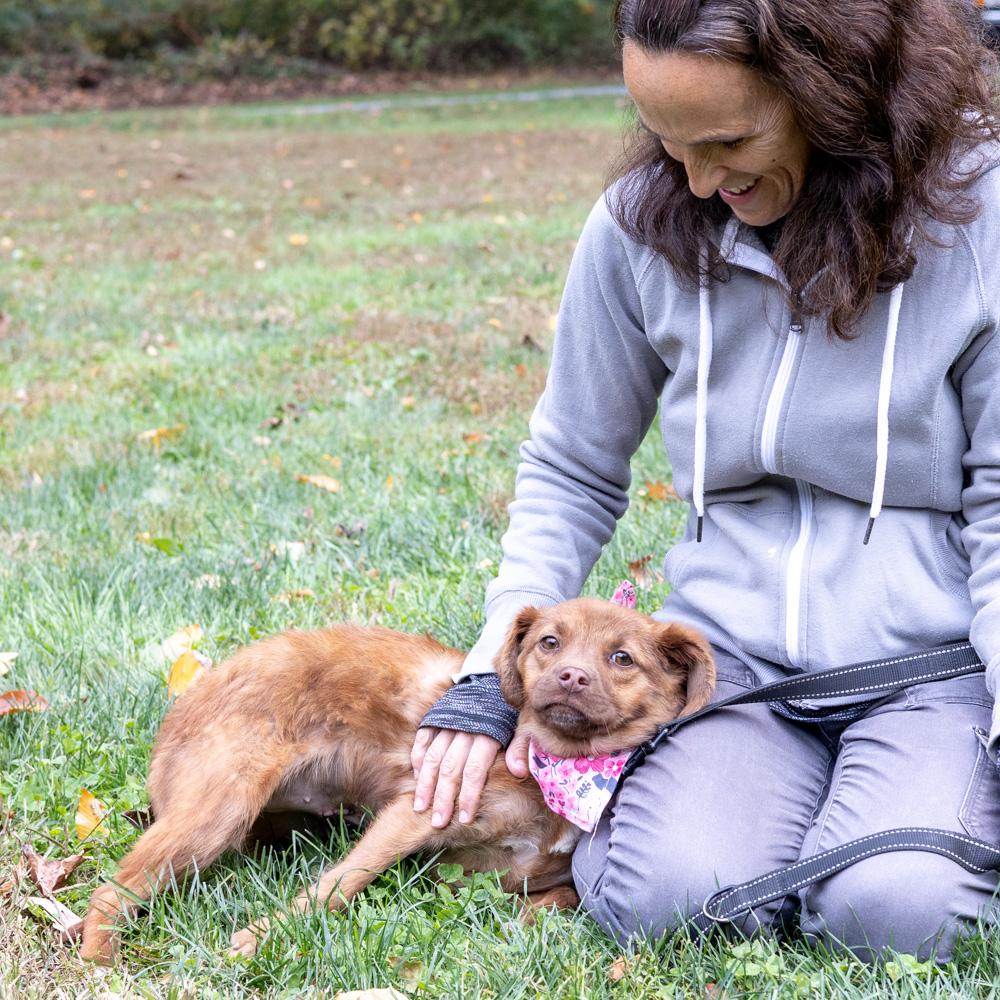 Cinderellaavail thumbnail 6