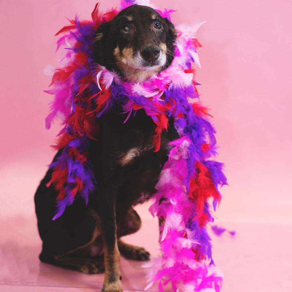 Clara Bow thumbnail 3