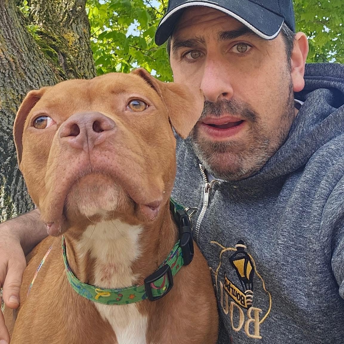 Razzie, a ADOPTABLE mixed breed in Buffalo, NY image 4/5