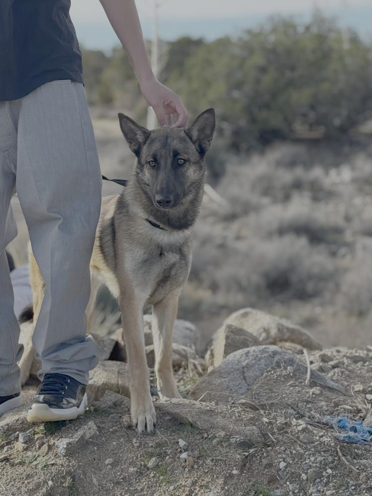 Reign Fka Sandra  thumbnail 3