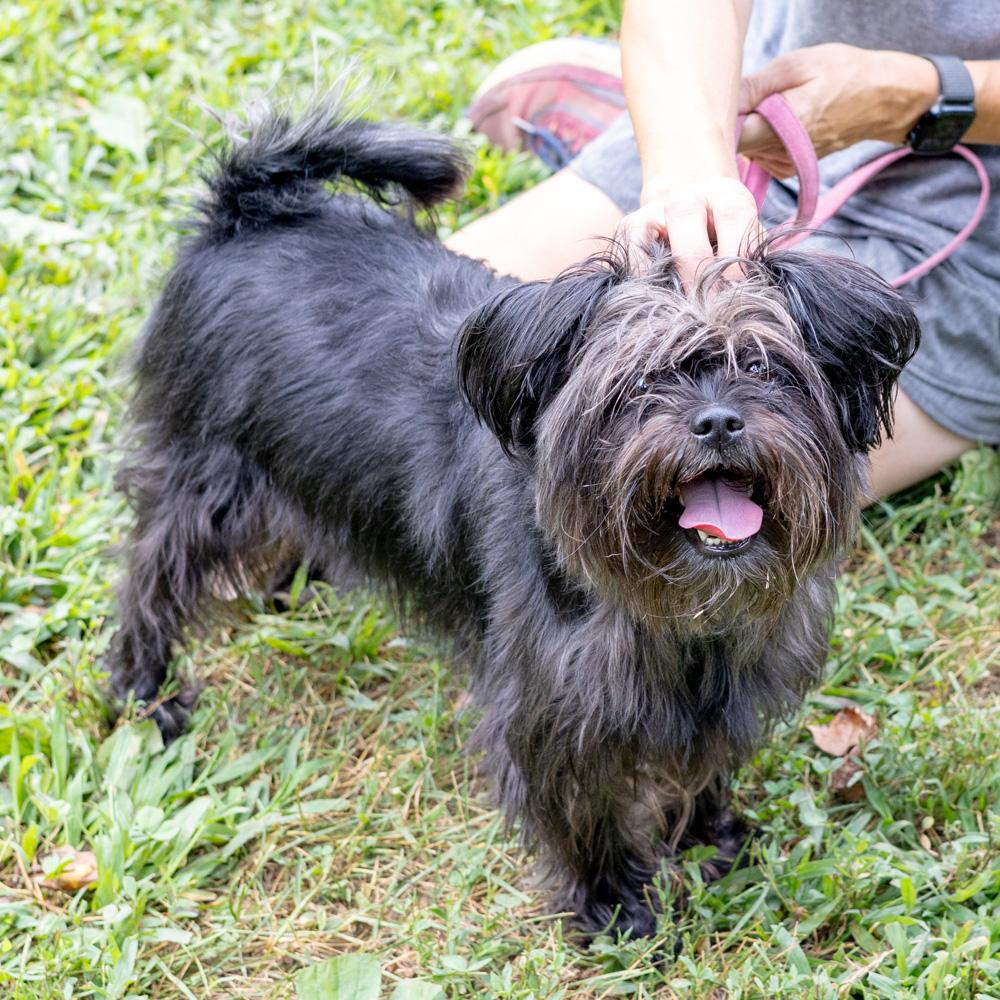 Benji (Male) Available 8/23