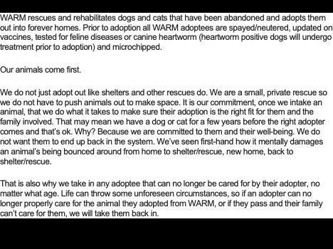 Enlarge Salem, a Adoptable mixed breed in Conway, SC image 1/5