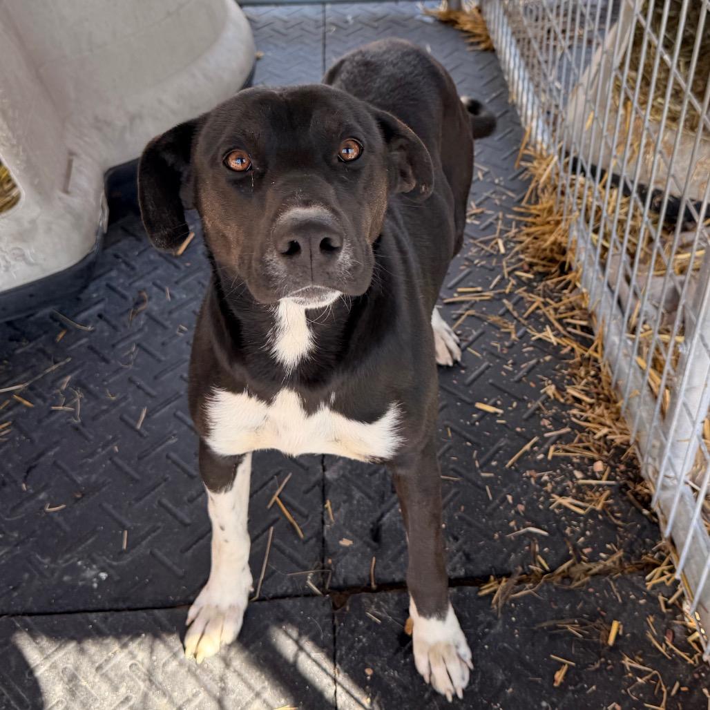 Timothy — thumbnail 2