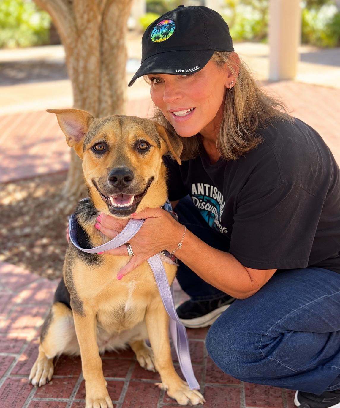 Enlarge Miss Maple with Silly Ears, a Adoptable mixed breed in Menifee, CA image 2/6