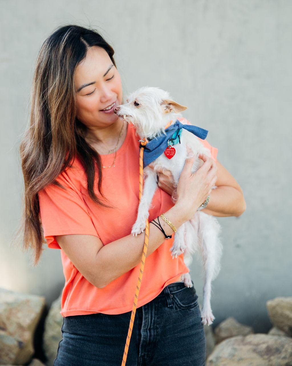 Enlarge Mick Shrimpton, a Adoptable mixed breed in Los Angeles, CA image 5/5