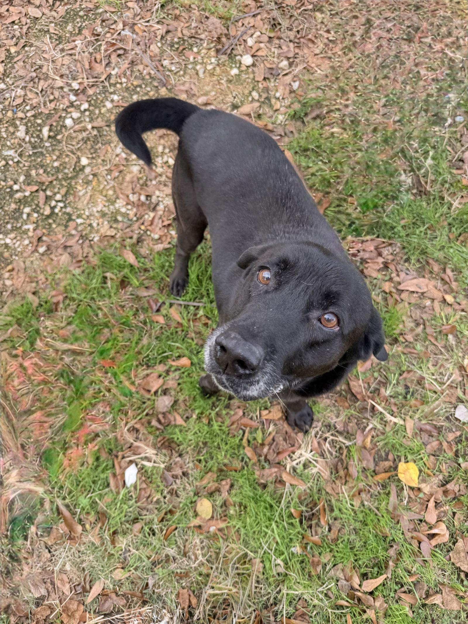 Bones — thumbnail 2