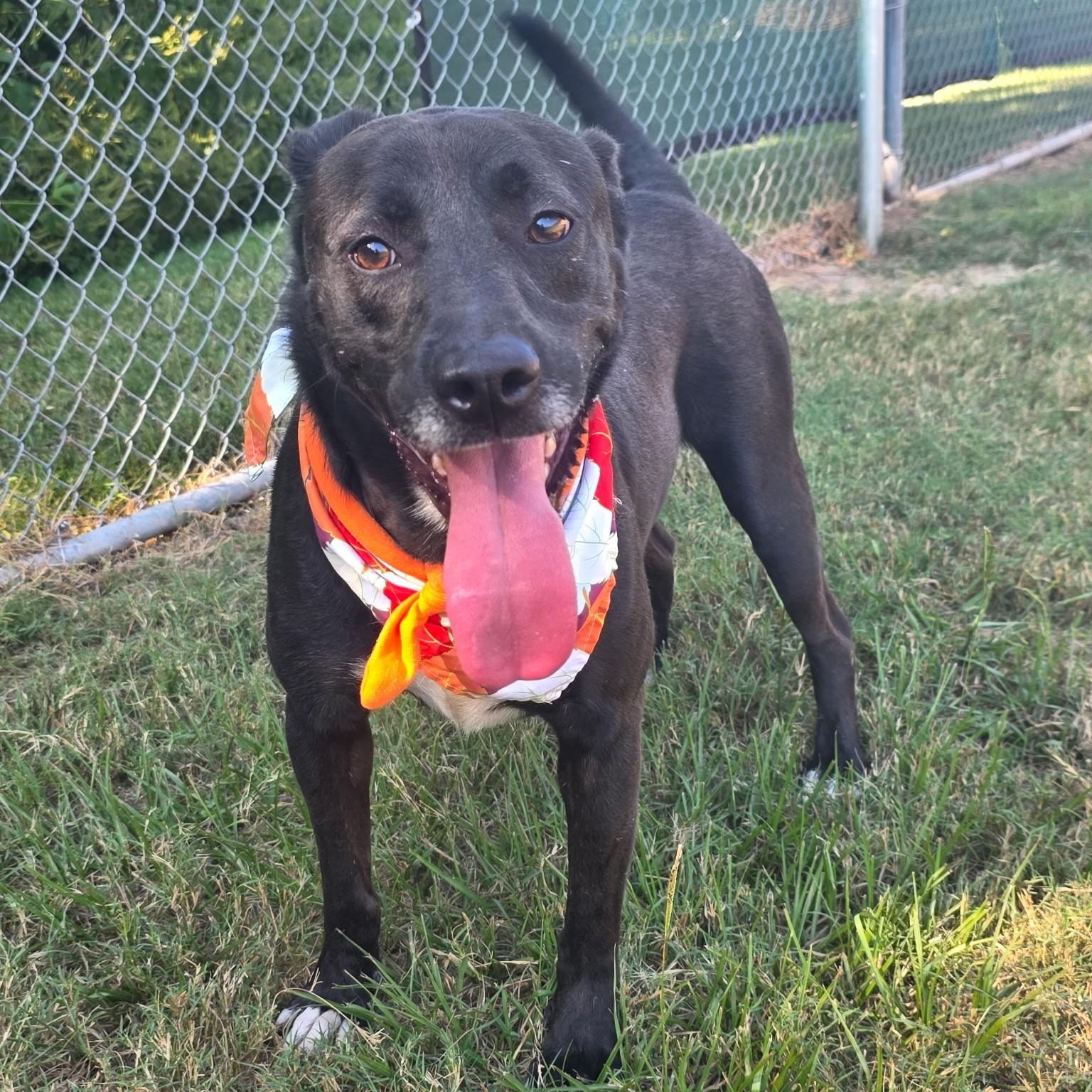 Randall Raisin — thumbnail 6