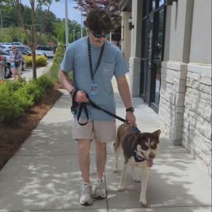 Potter, a Adoptable mixed breed in Helena, AL image 5/6