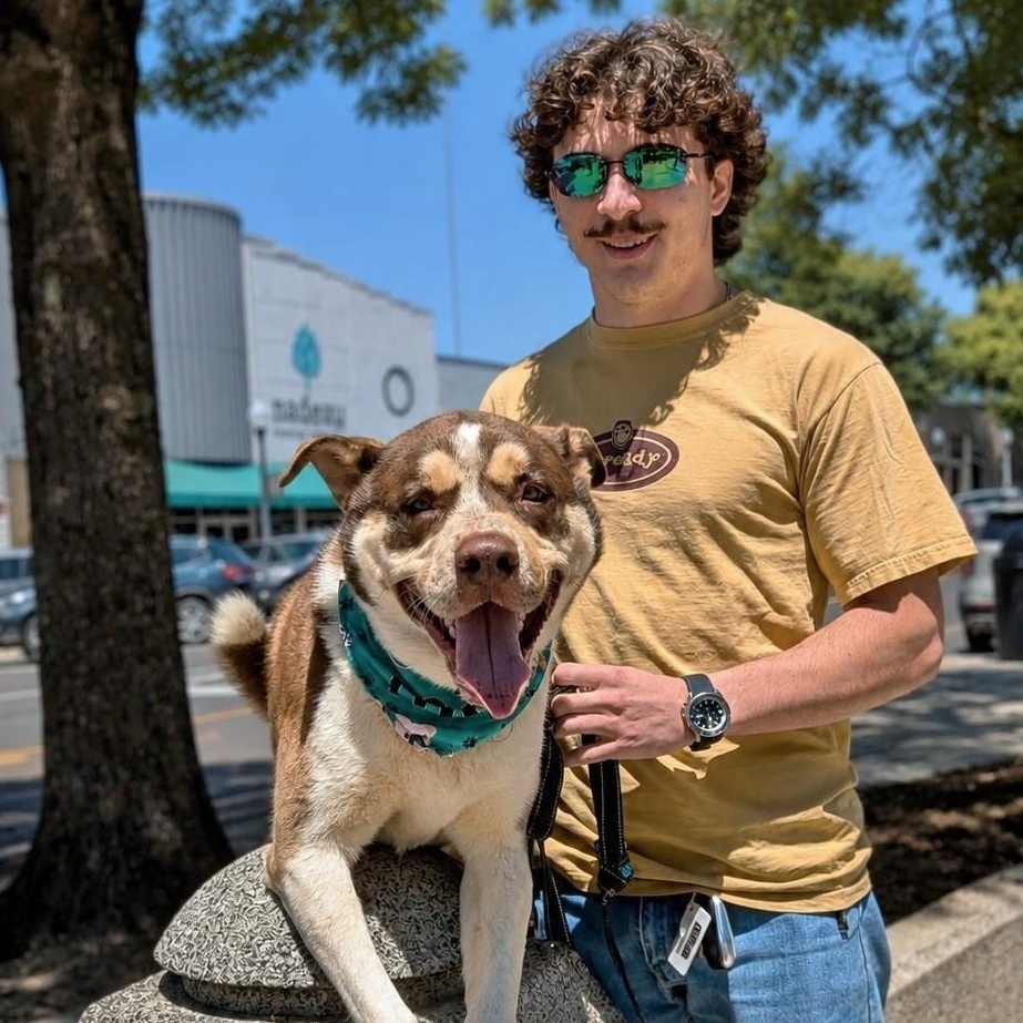 Potter, a Adoptable mixed breed in Helena, AL image 4/6
