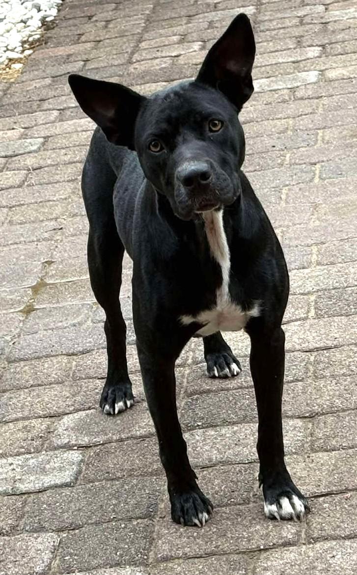 Joyce *HERE IN NH* 4