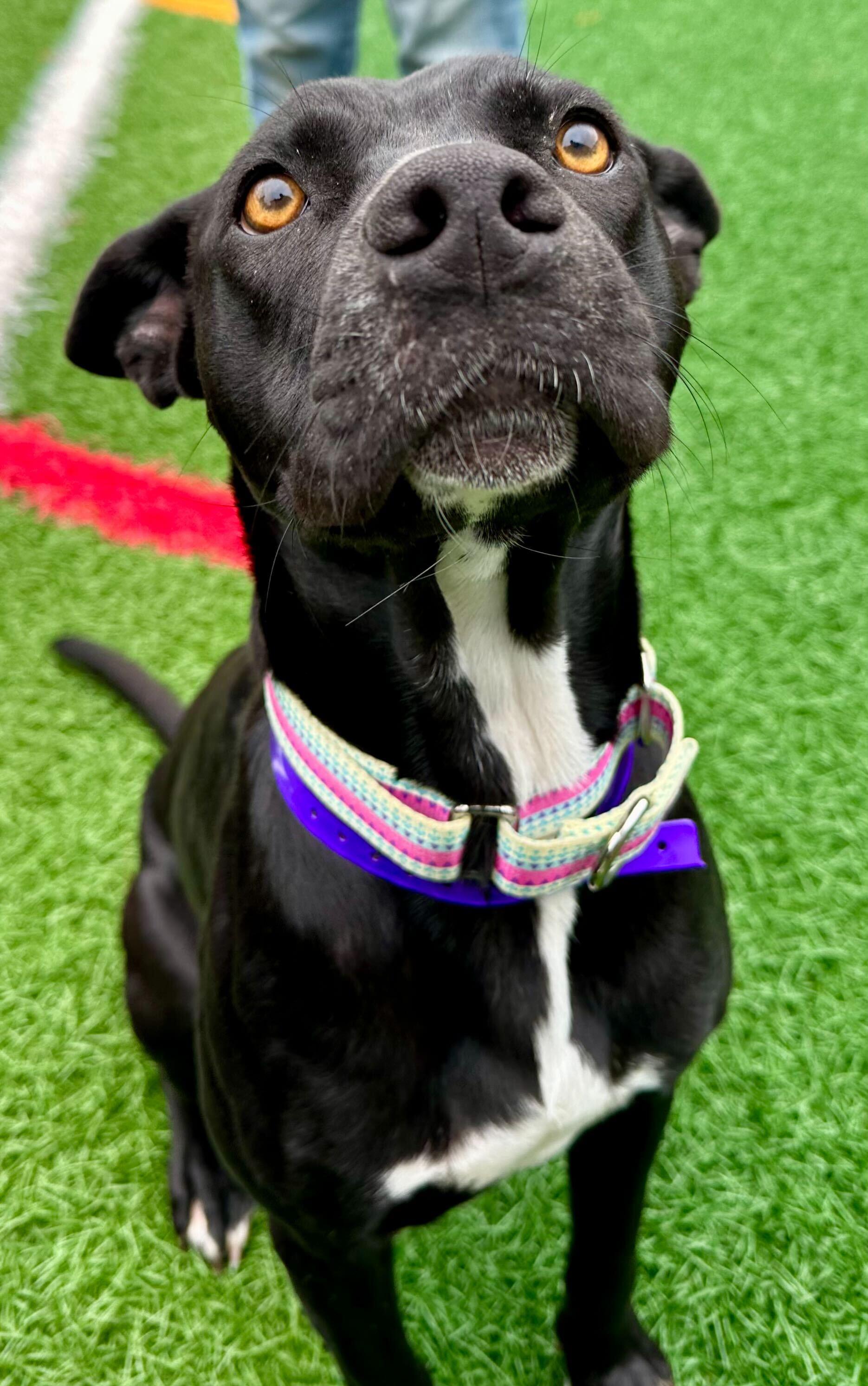 Joyce *HERE IN NH* 5