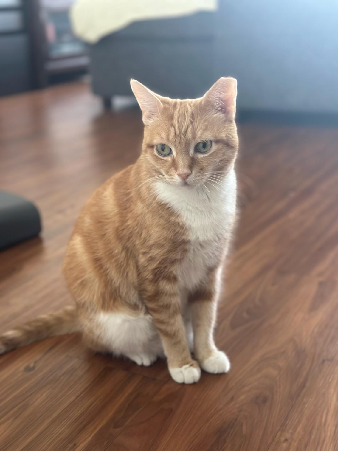 SAHARA N - Stunning and Sweet