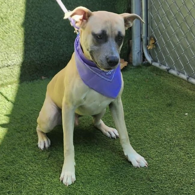 Winston — thumbnail 5