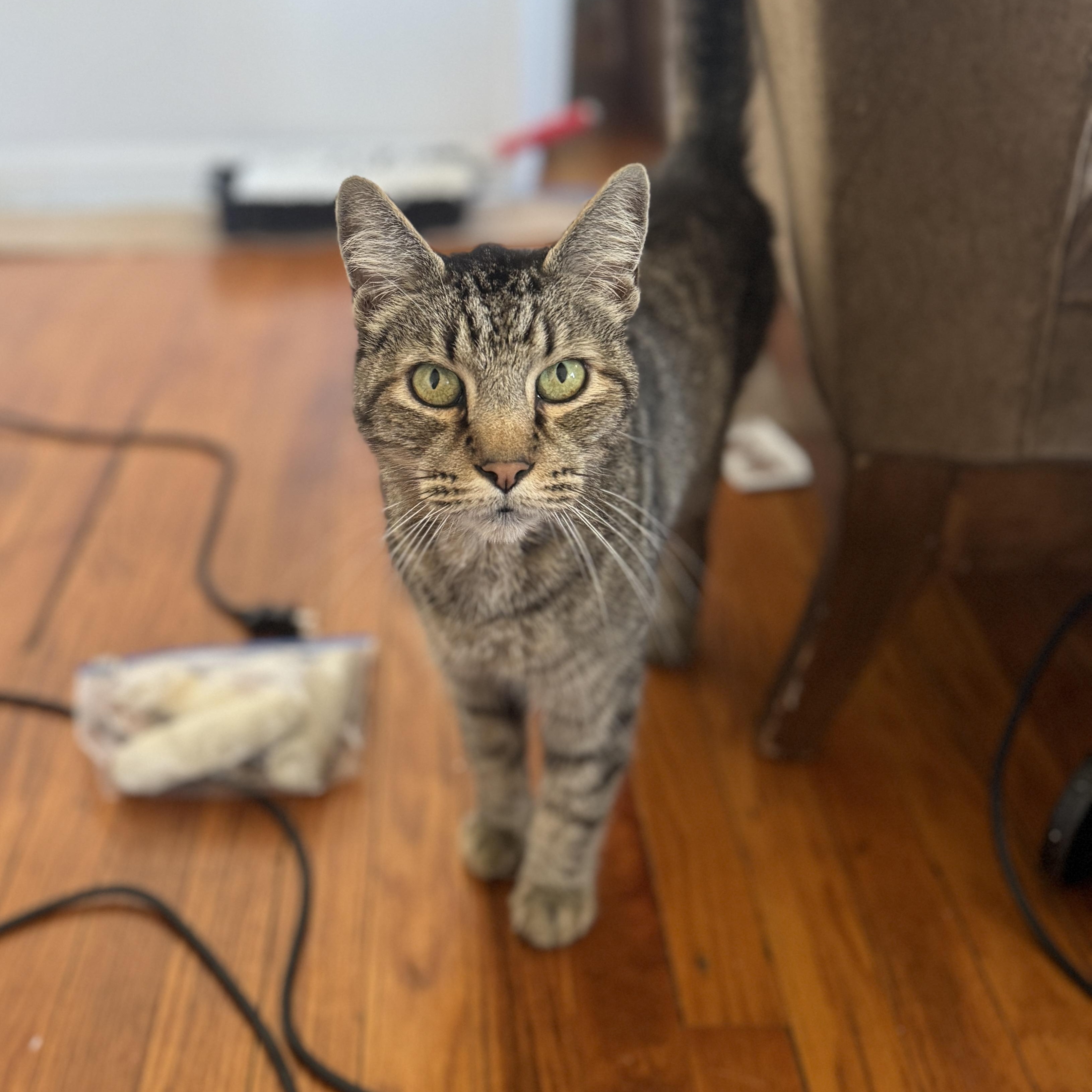 Diego