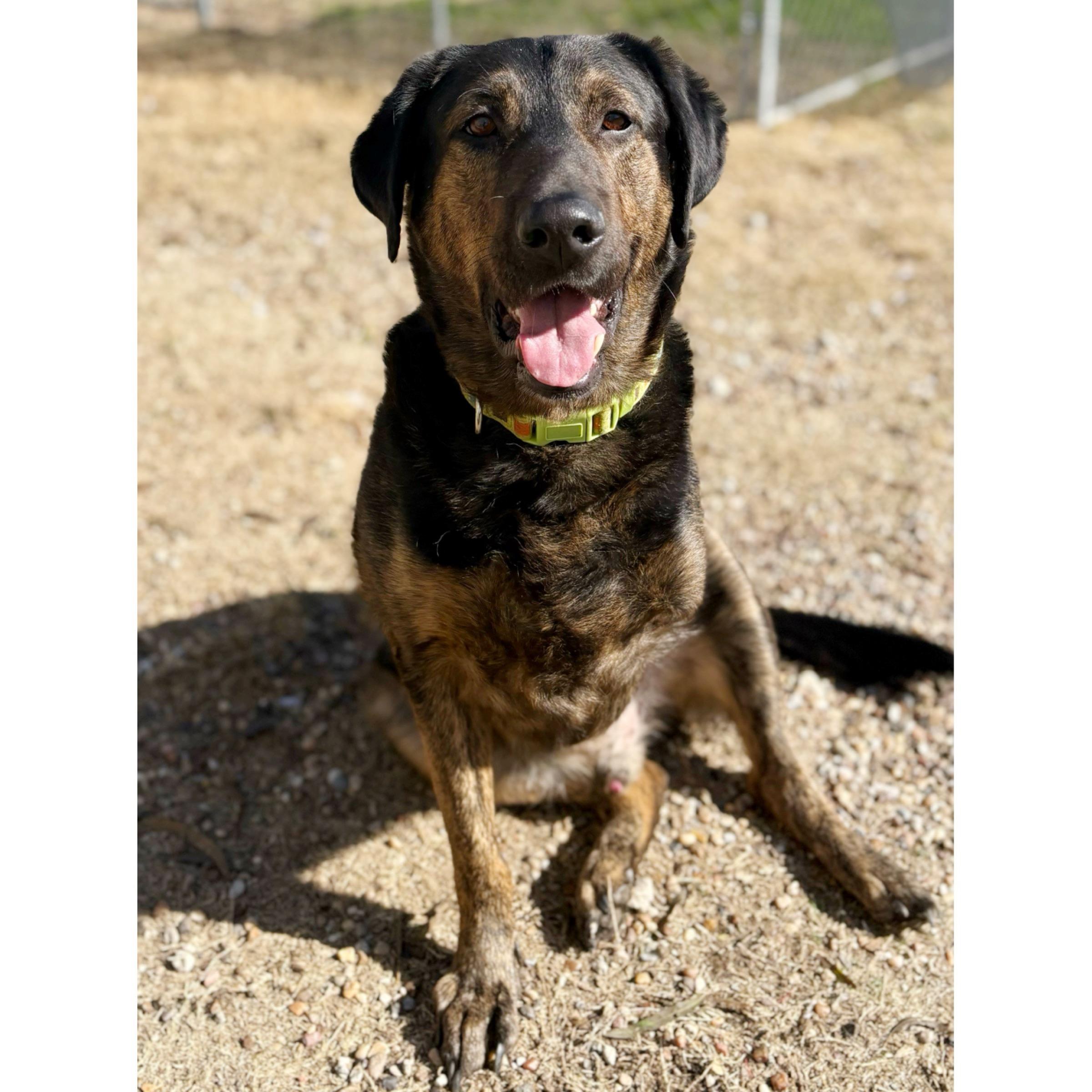 Flash — thumbnail 2