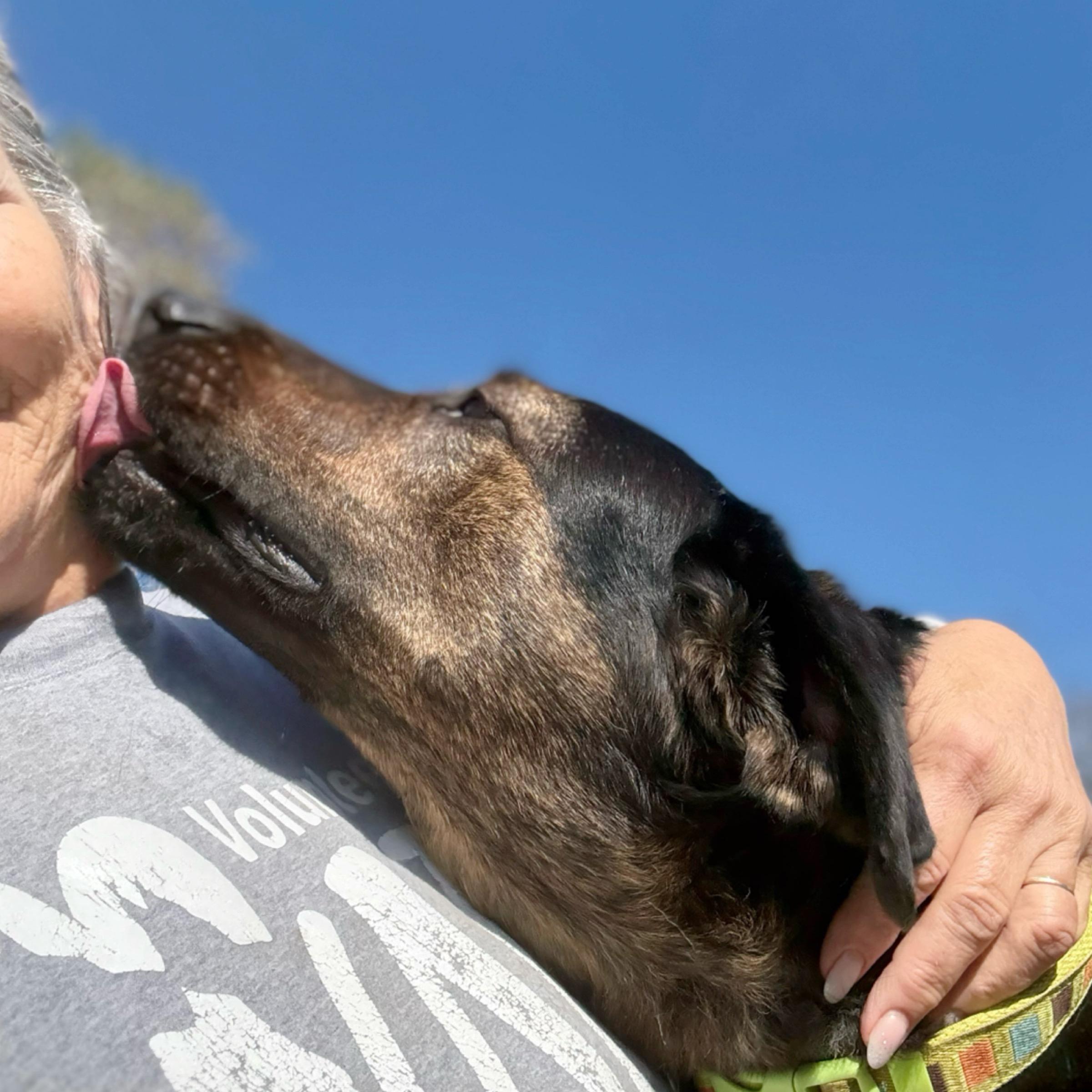 Flash — thumbnail 3