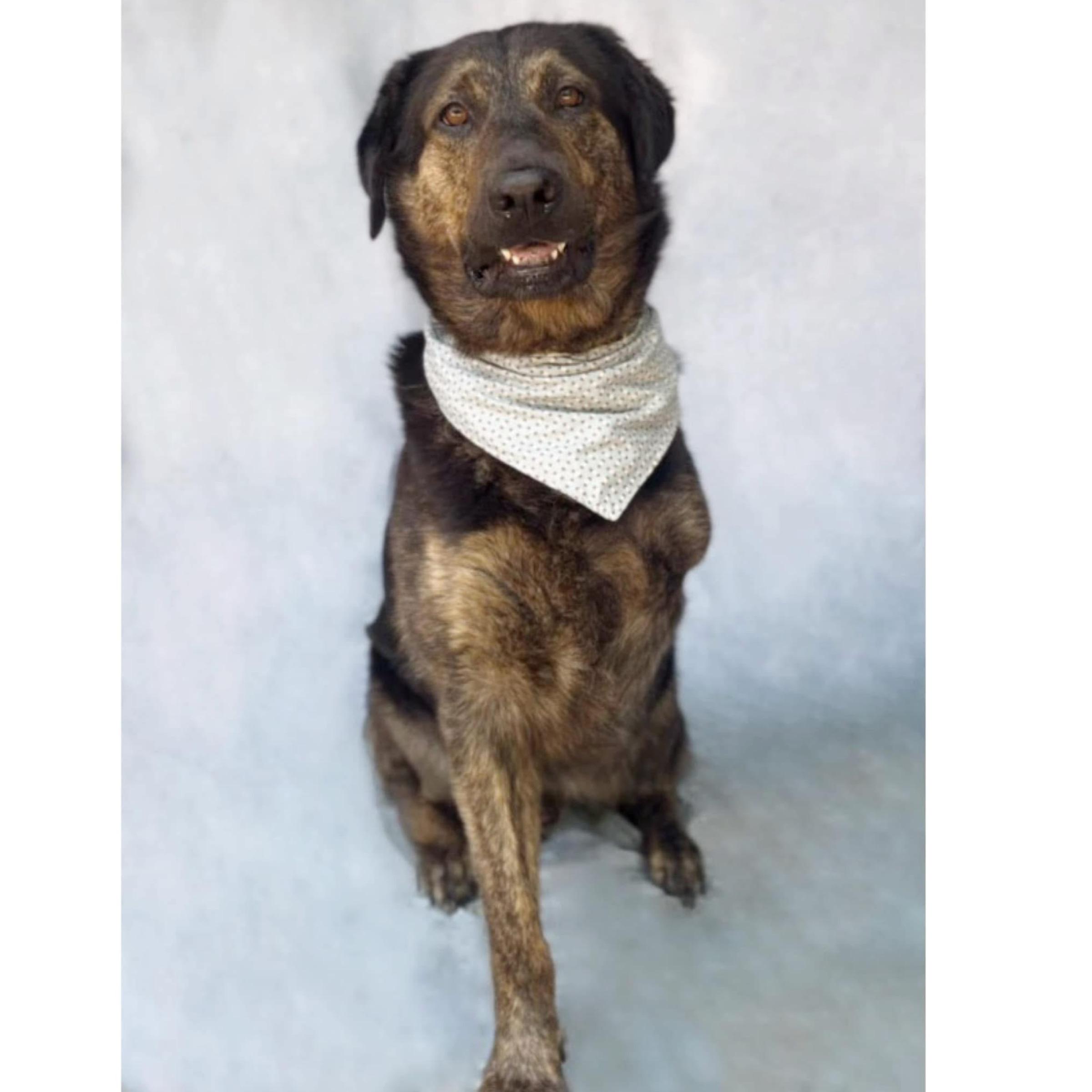 Flash — thumbnail 4