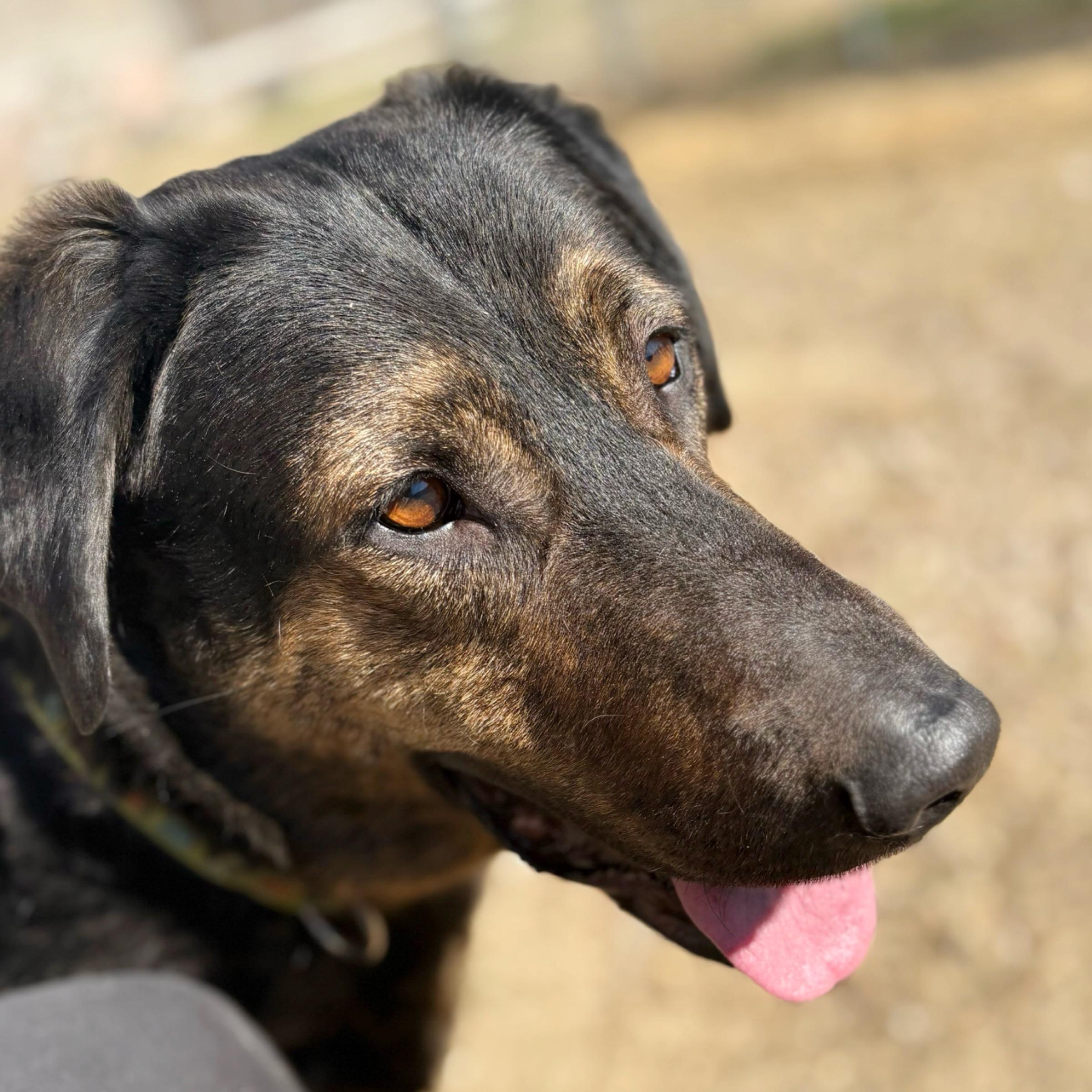 Flash — thumbnail 5