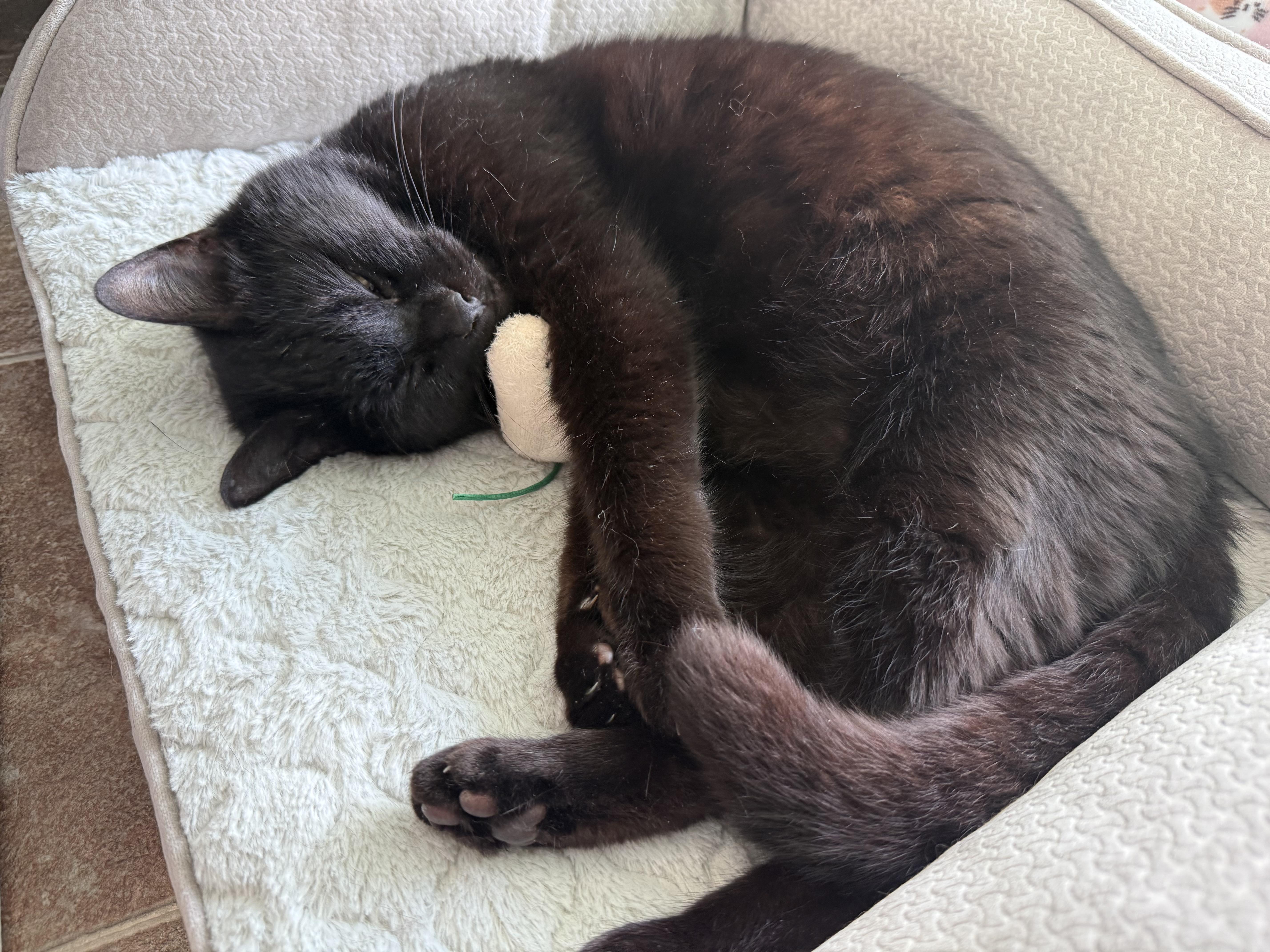 Porch — thumbnail 3