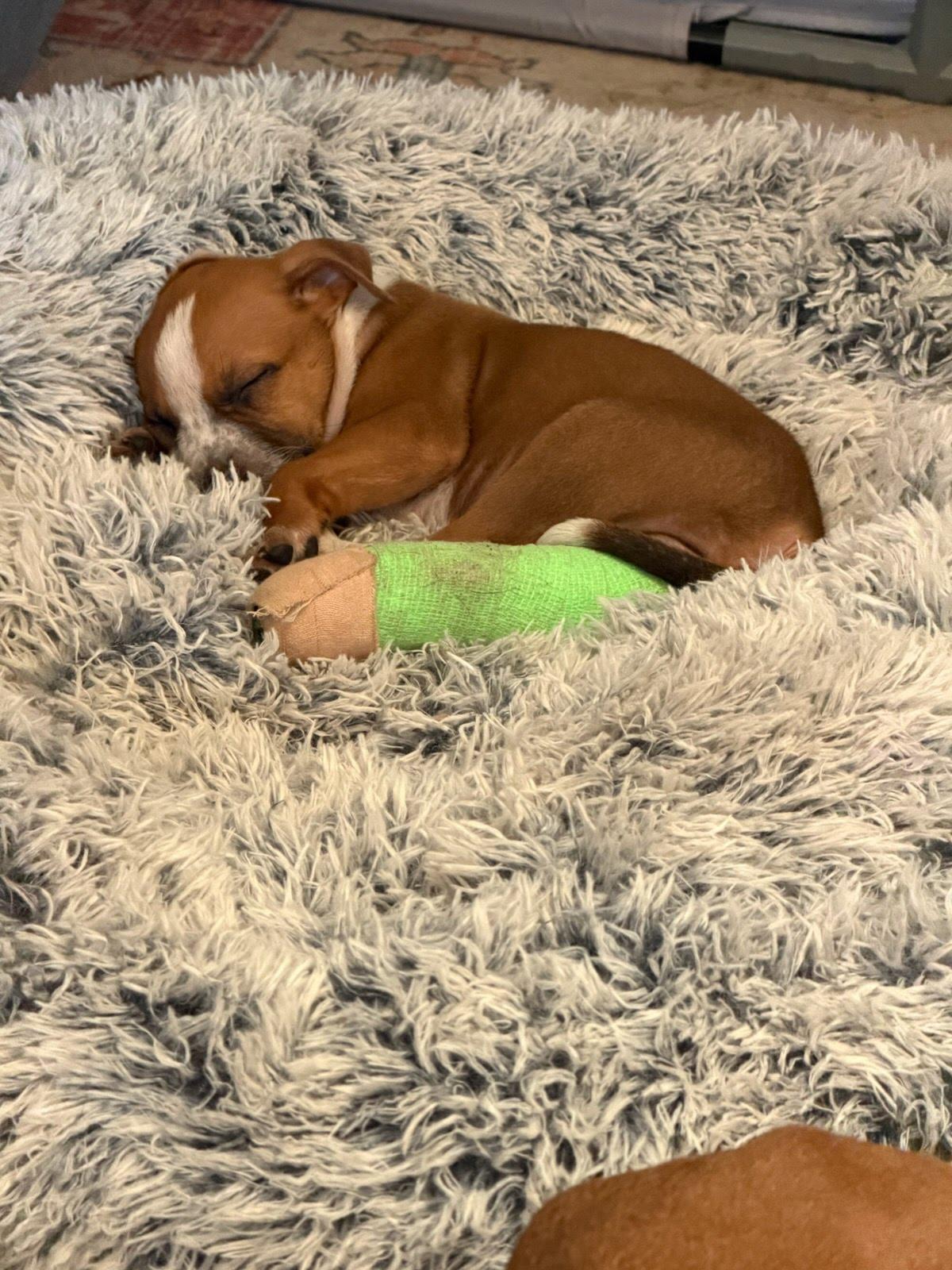 Meatball thumbnail 3