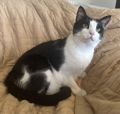 Eddie — thumbnail 2