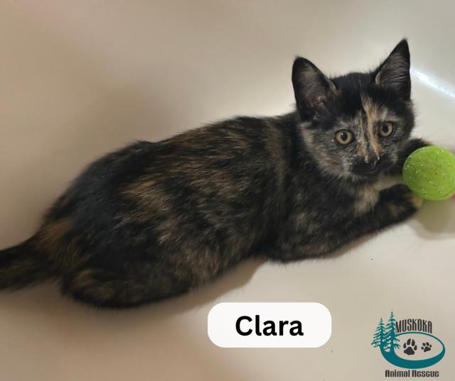 Clara!