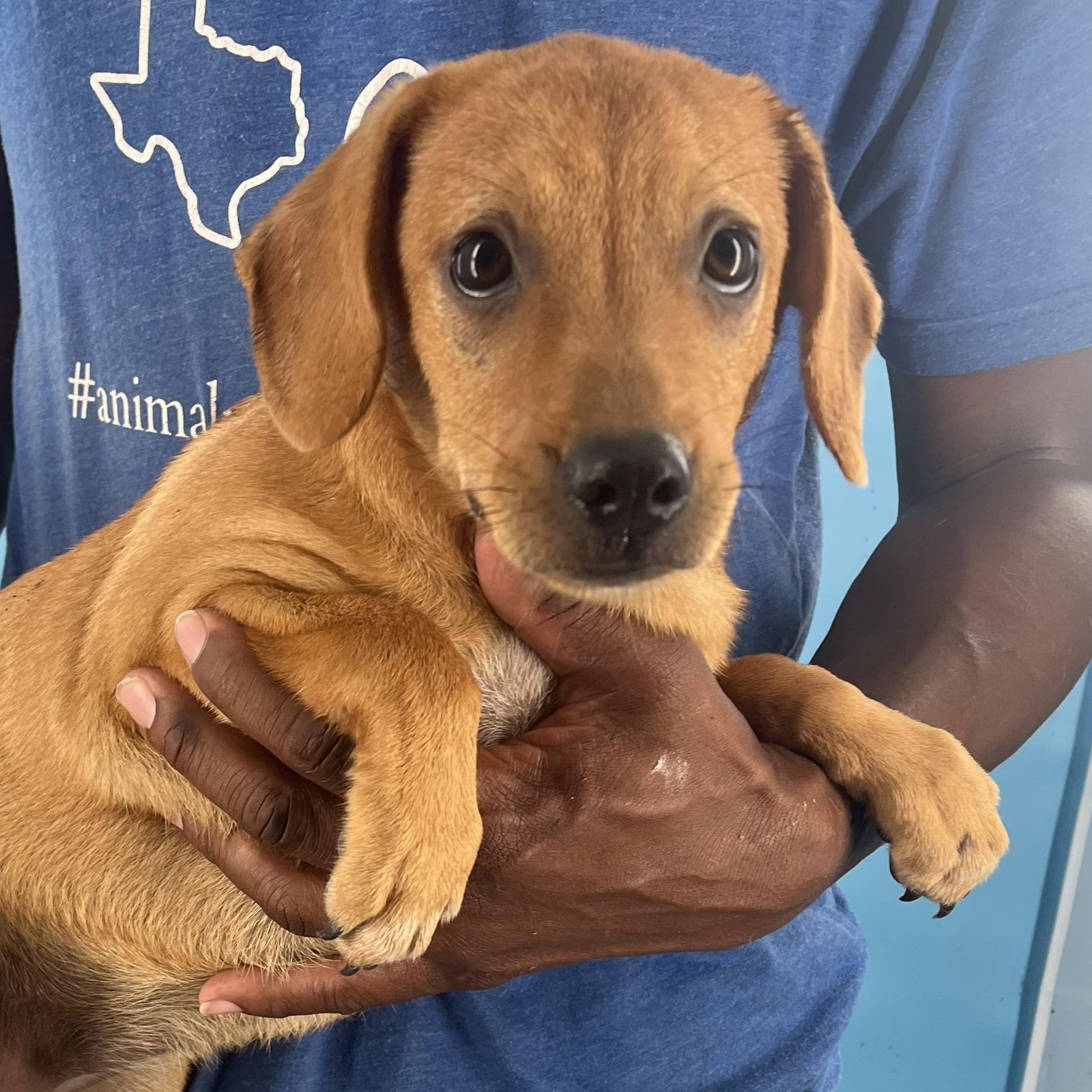 Roma - Local Sept 26-28