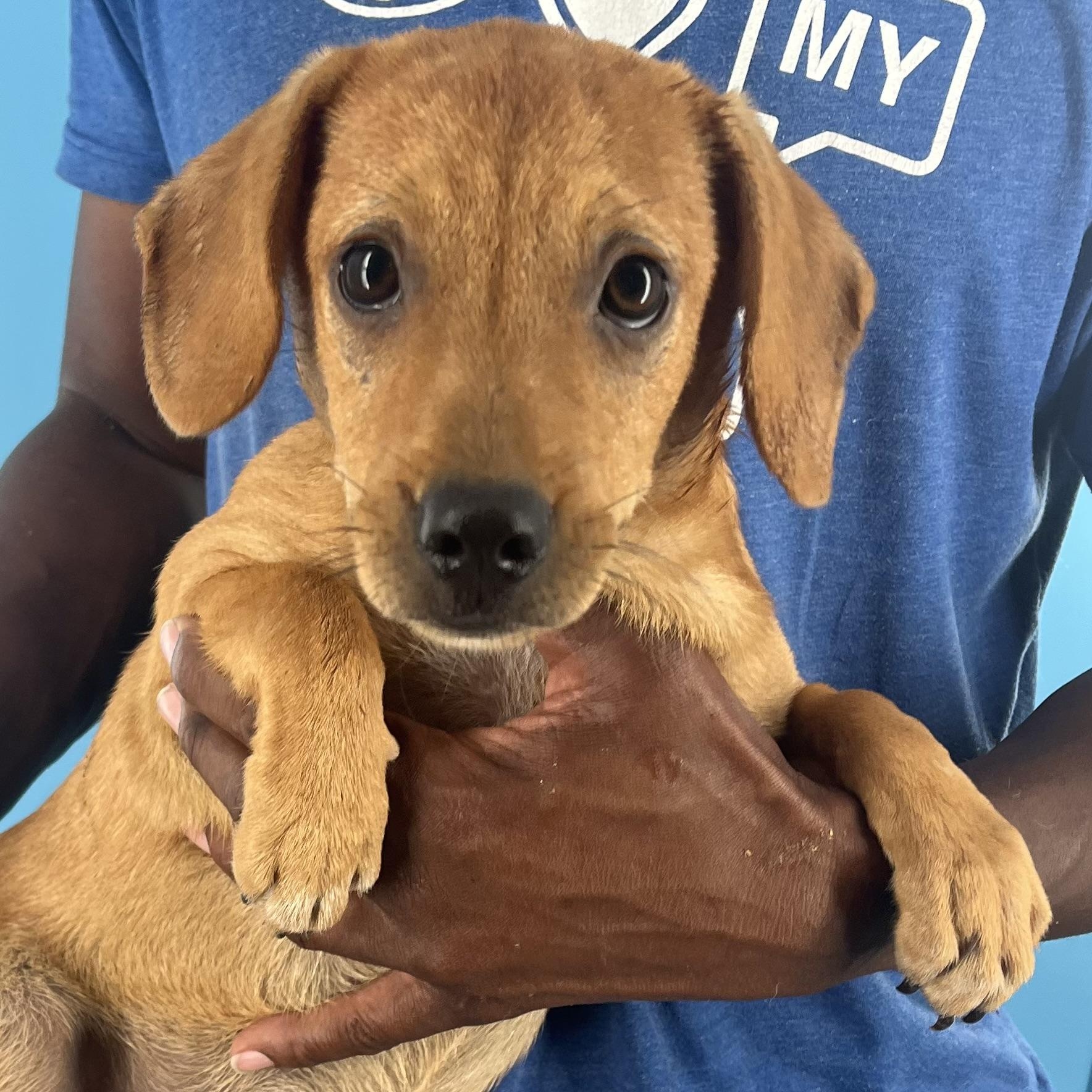 Roma - Local Sept 26-28