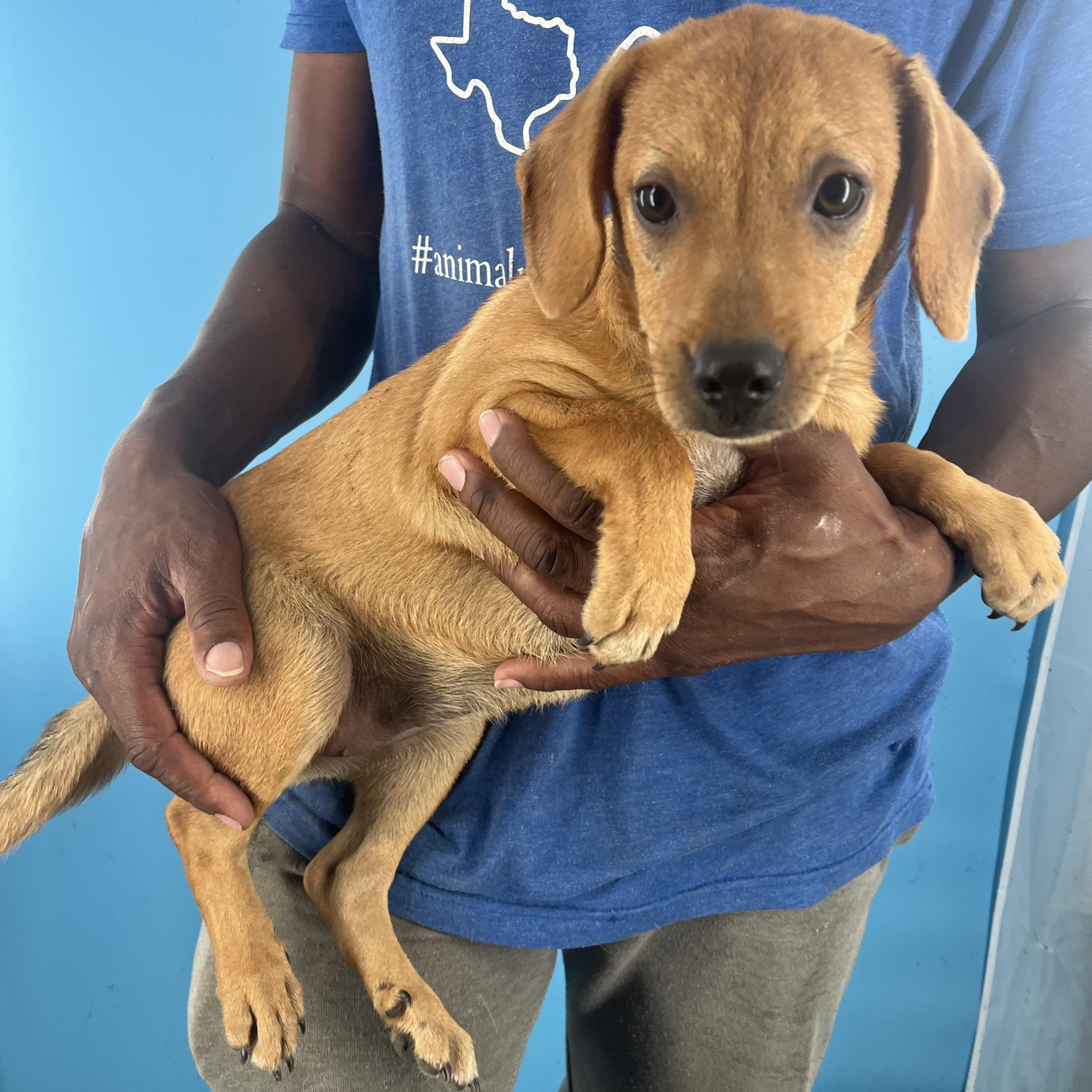 Roma - Local Sept 26-28