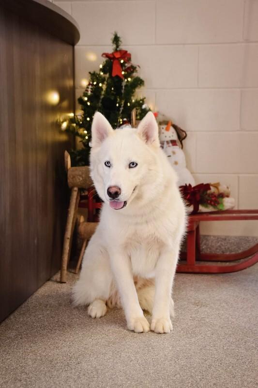 Mashtater thumbnail 3