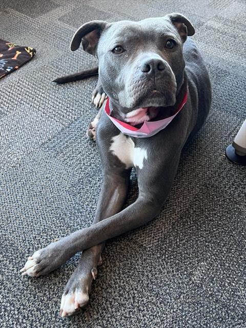 RAIN — thumbnail 3