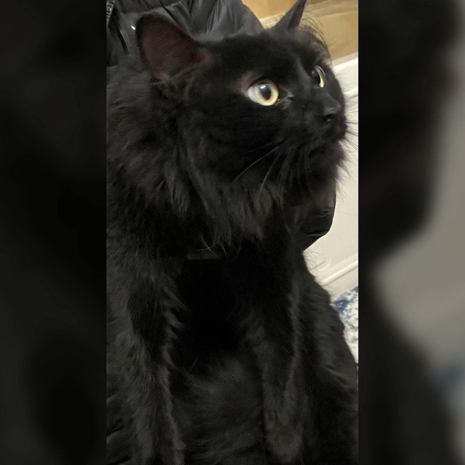 Natalie — thumbnail 2