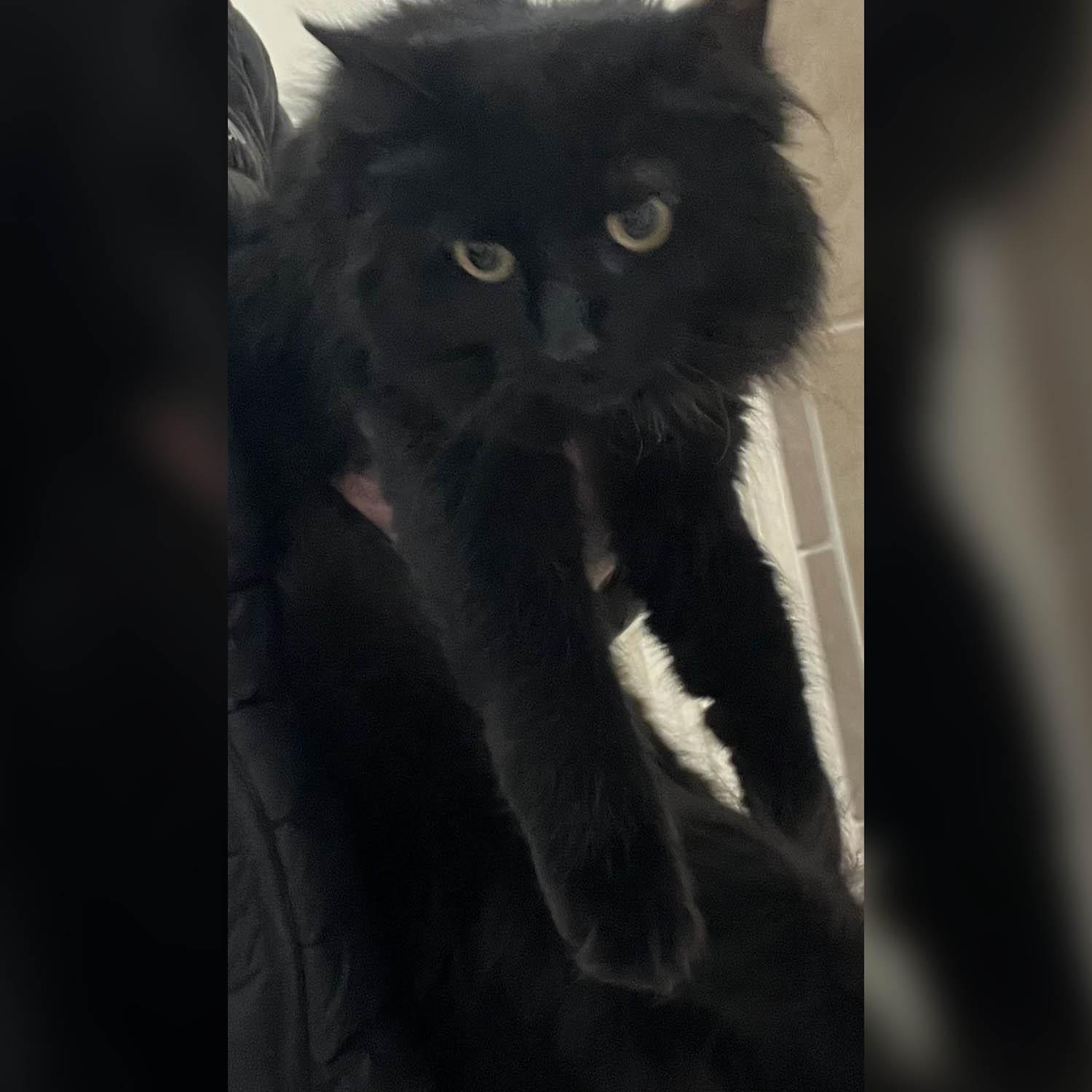 Natalie — thumbnail 3