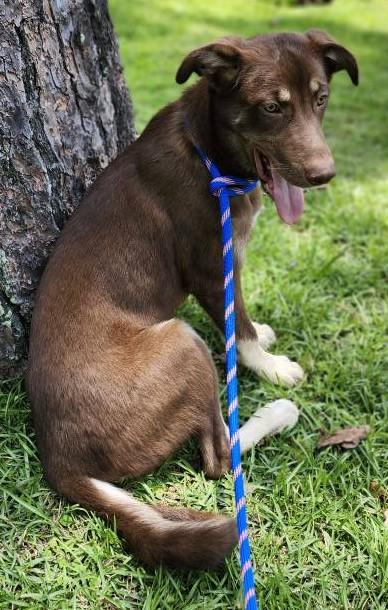 Memphis & Montana - PRECIOUS!