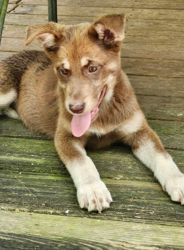 Memphis & Montana - PRECIOUS!