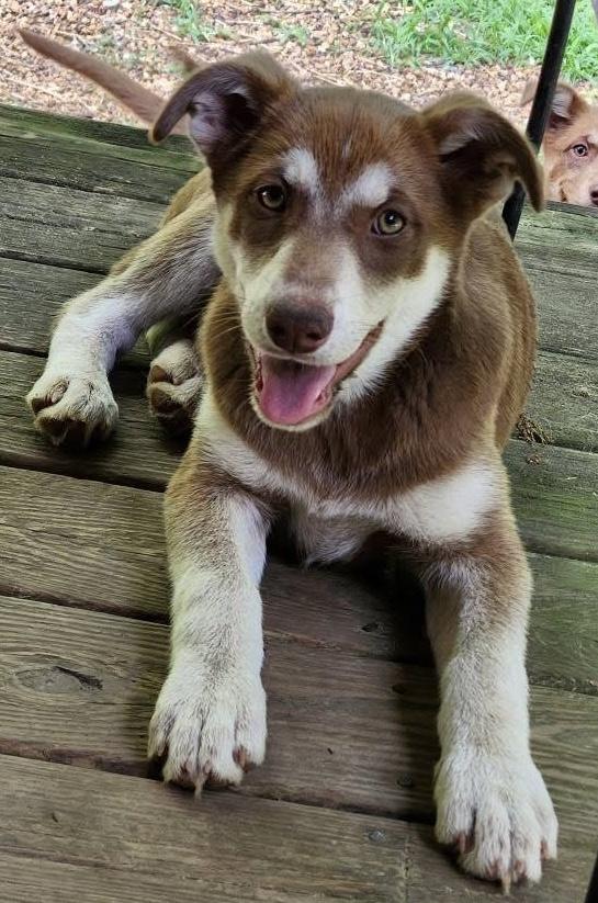 Memphis & Montana - PRECIOUS!