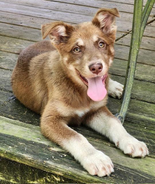 Memphis & Montana - PRECIOUS!