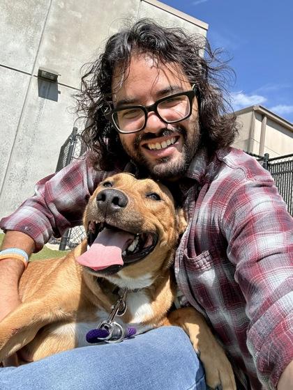 Logan the Lion, Adoptable, Adult Male Mixed Breed & Mixed Breed.