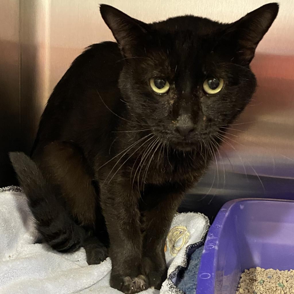 Depot — thumbnail 3