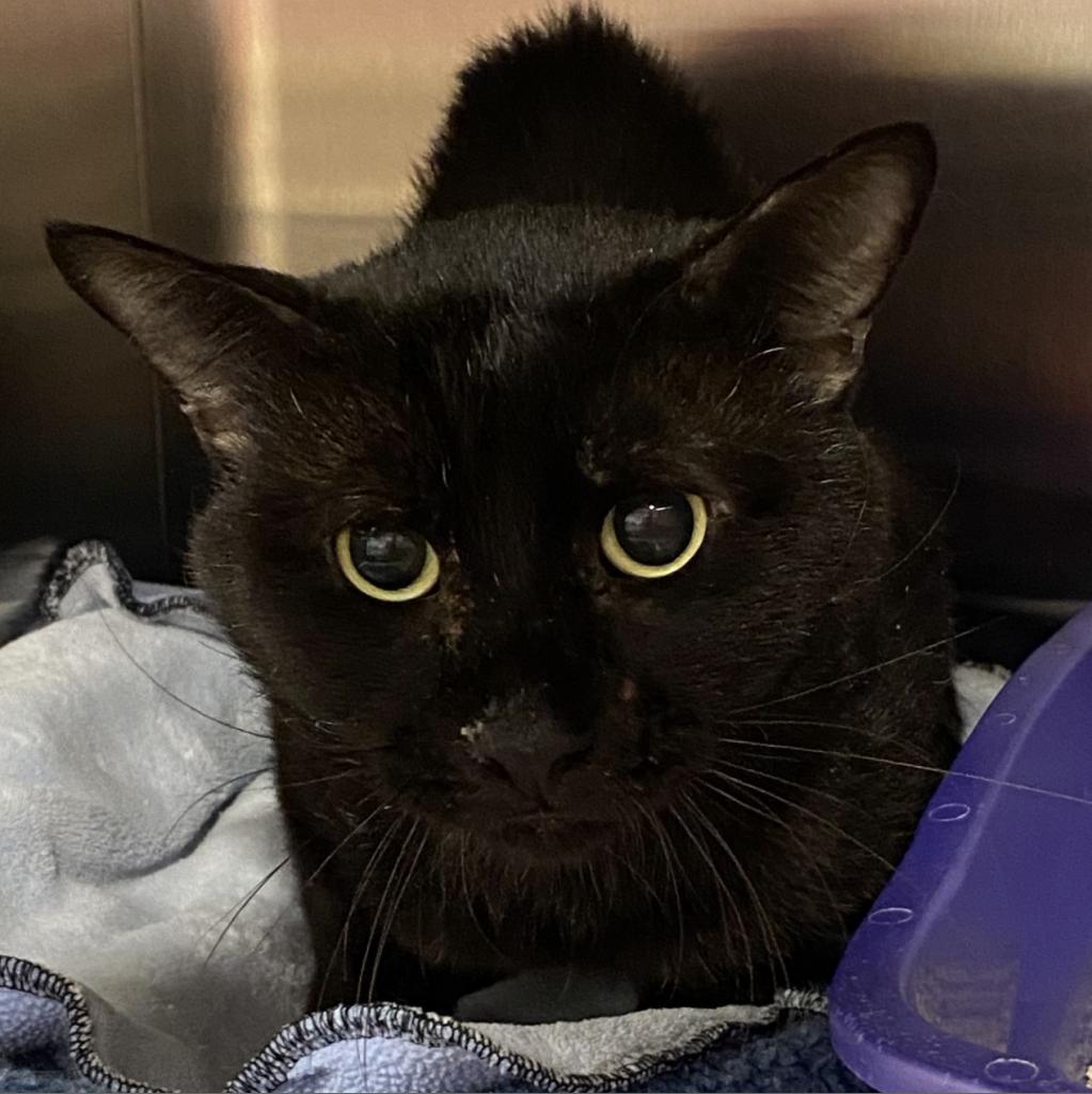 Depot — thumbnail 4