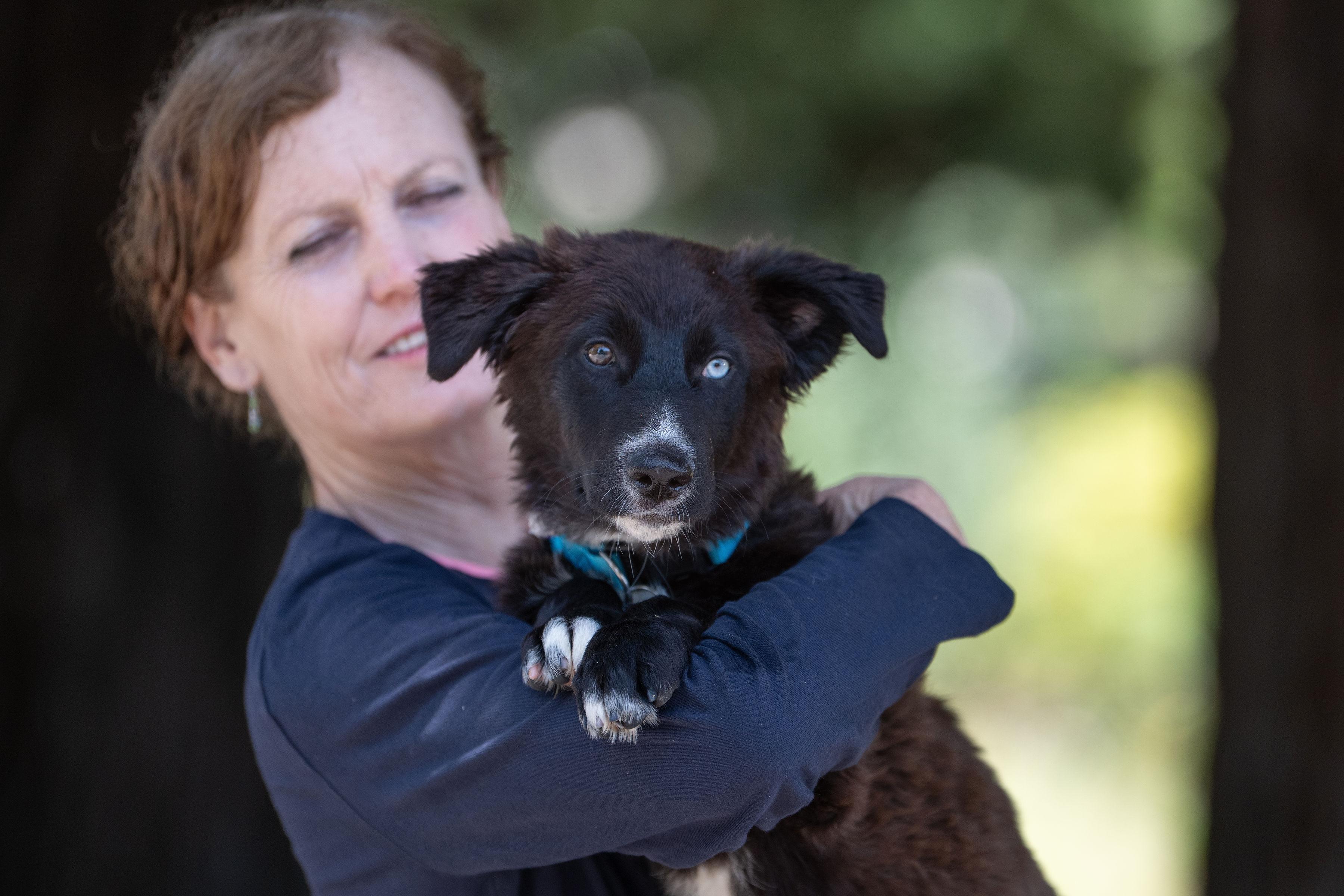 Enlarge Chalupa, an adopted mixed breed in Santa Rosa, CA image 5/5